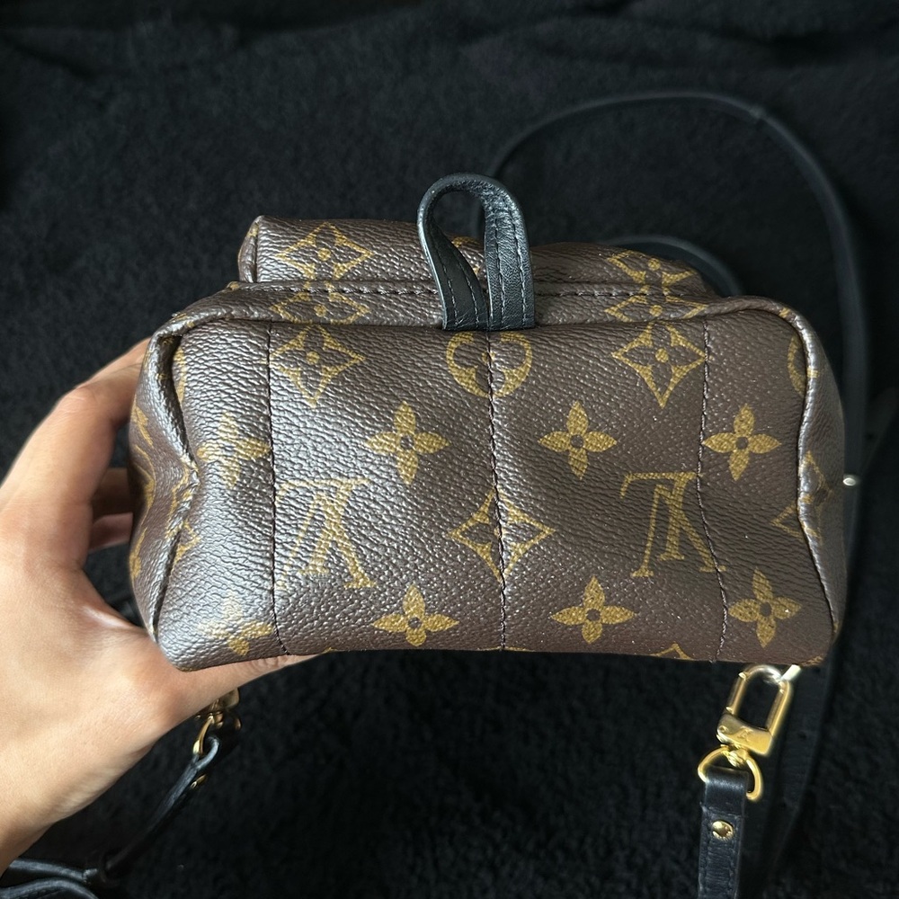Louis Vuitton Palm Springs Mini Backpack Monogram Brown Leather Crossbody Bag - Picture 8 of 11